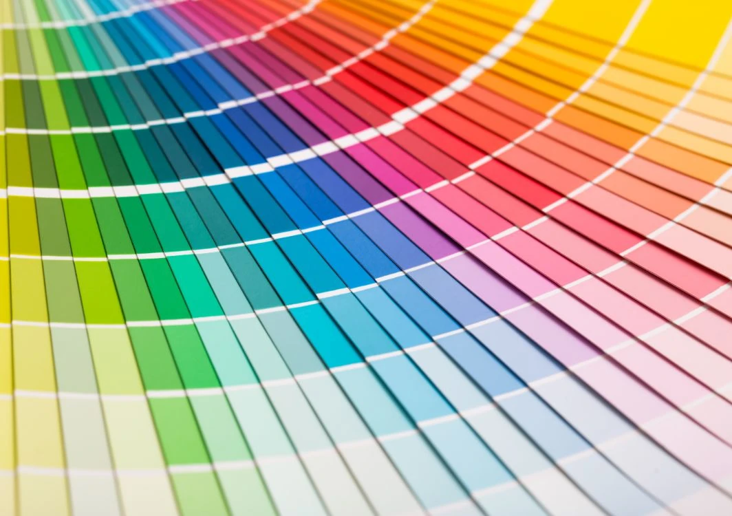 Premium paint color selection options from leading manufacturers